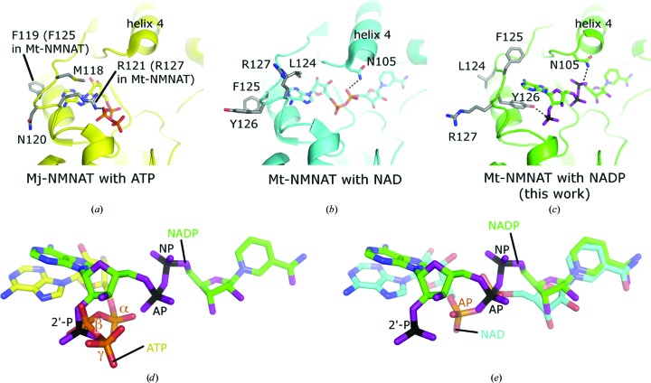 Figure 4