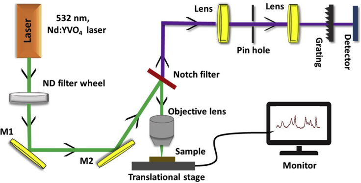 Figure 2