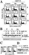 FIG. 1.