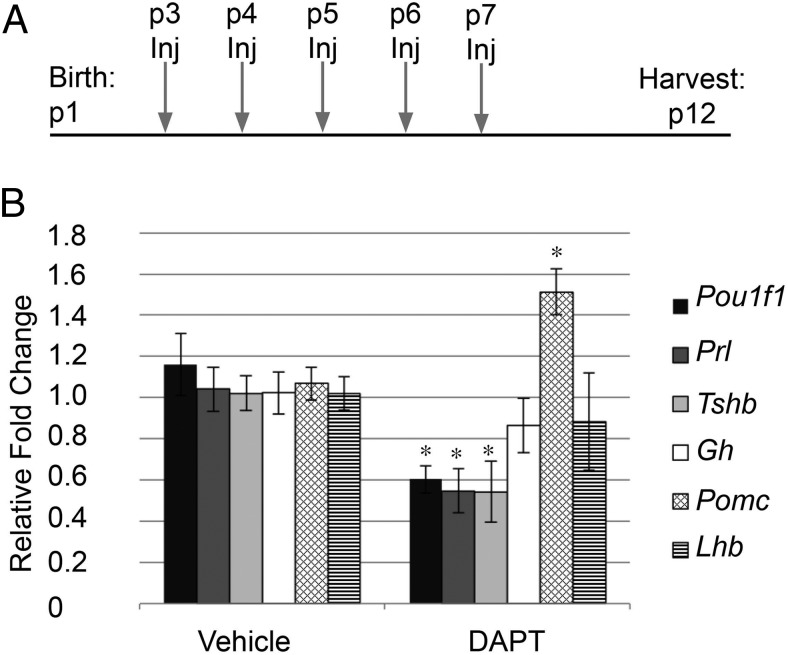 Figure 7.