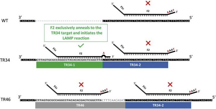 Figure 2