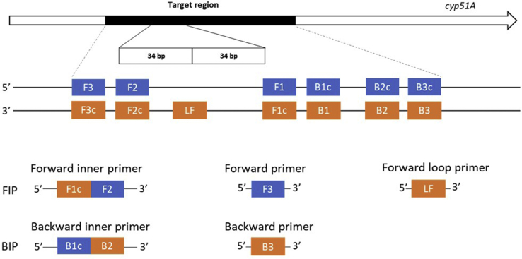 Figure 3