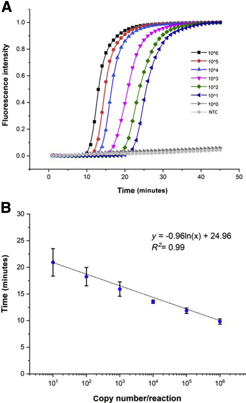 Figure 4