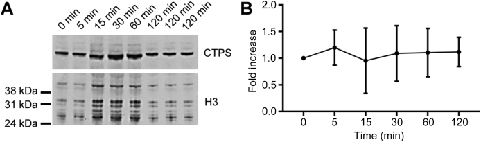 Fig. 6