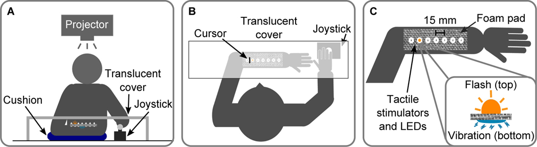 Fig. 1.