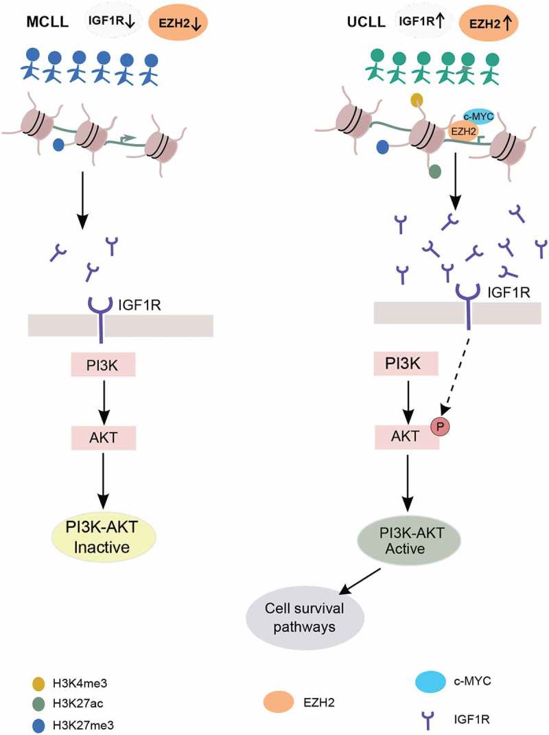 Figure 6.