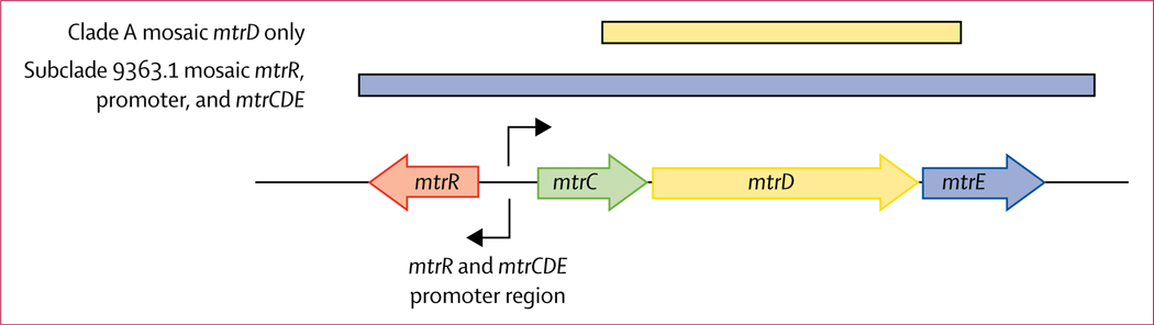 Figure 4: