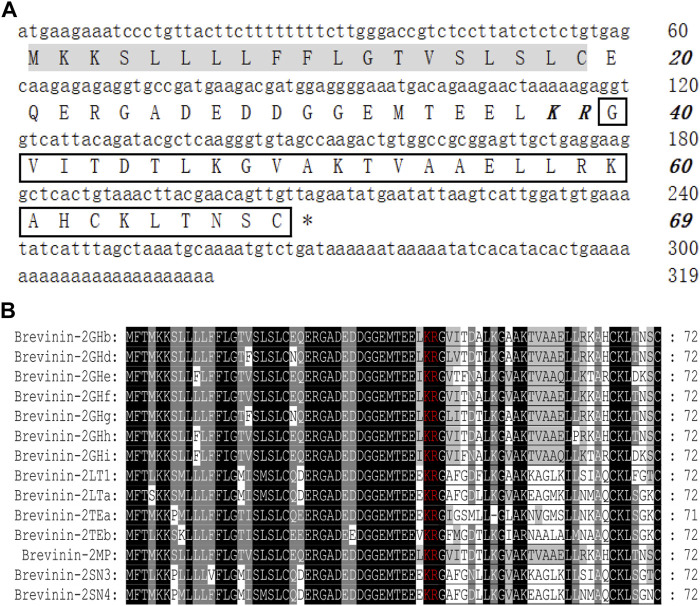 FIGURE 1