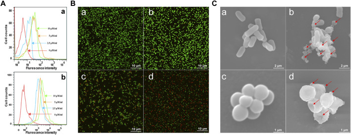 FIGURE 3