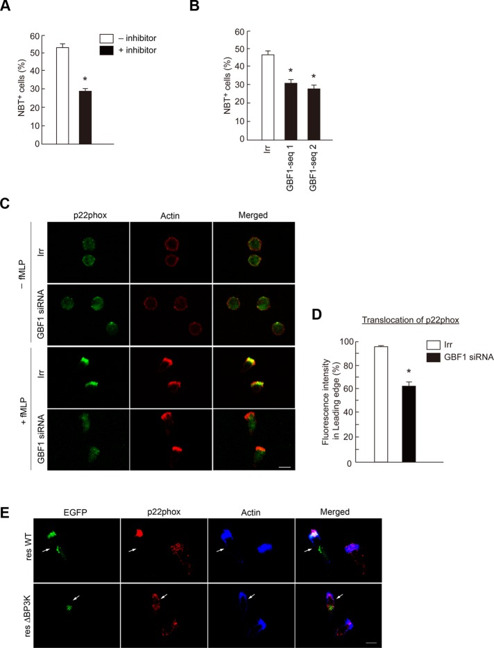 FIGURE 6: