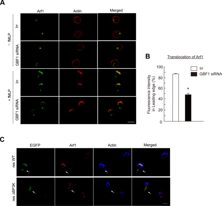 FIGURE 4: