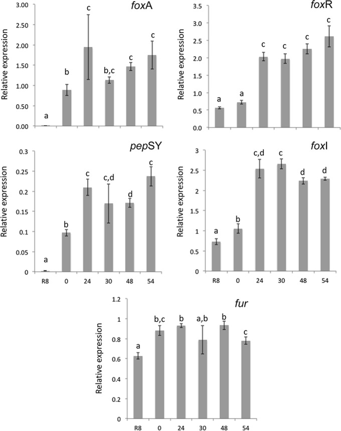 FIG 6