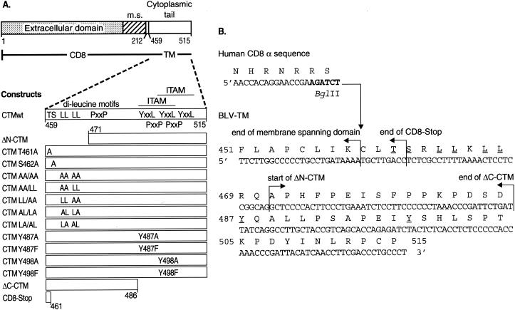 FIG. 1.