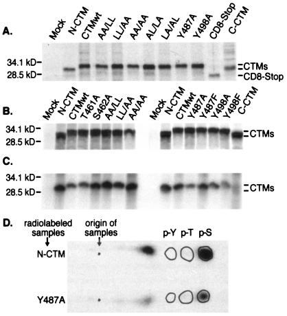 FIG. 2.