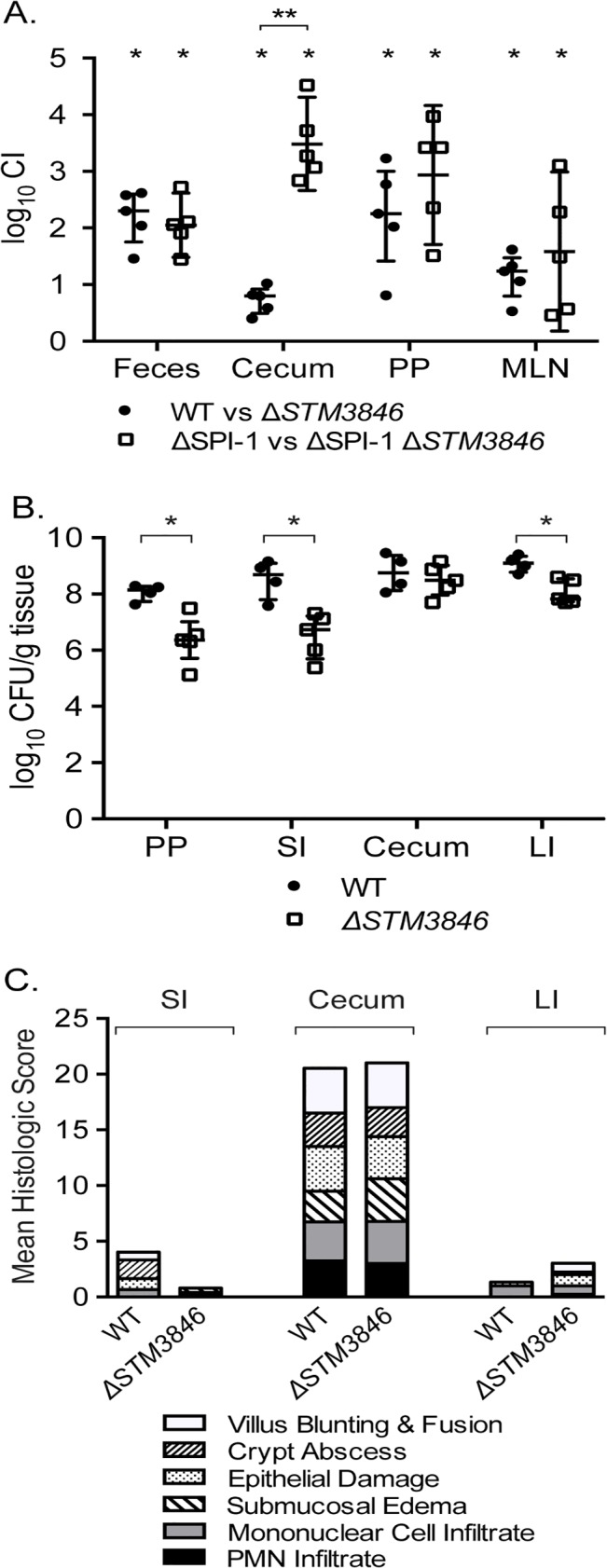 Fig 7