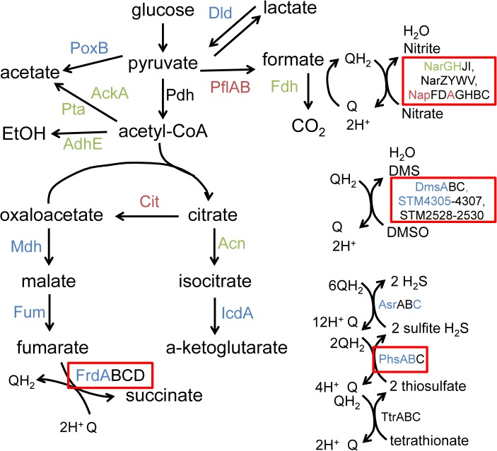 Fig 4