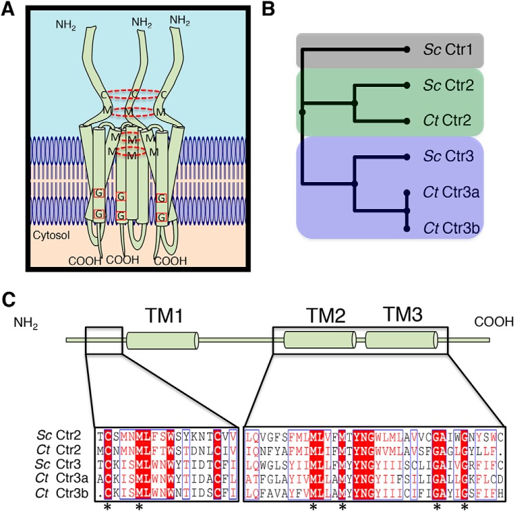 Figure 1.