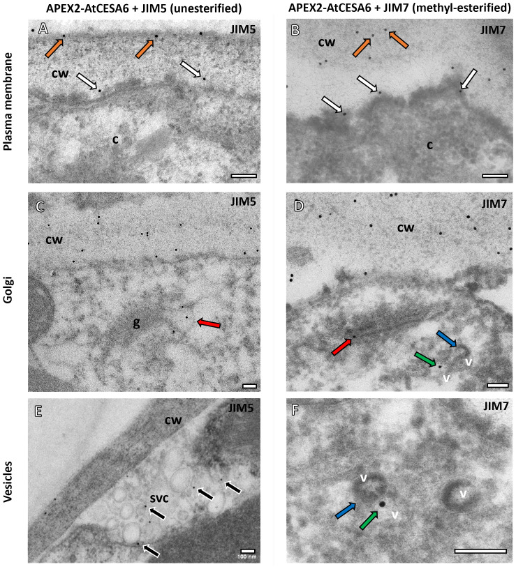 Figure 2