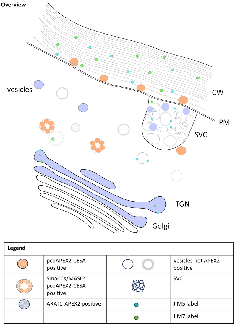 Figure 4