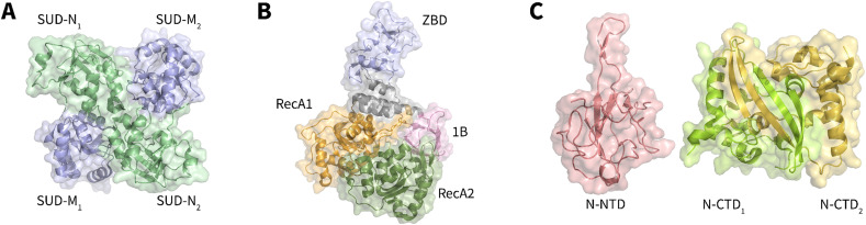 Fig. 6