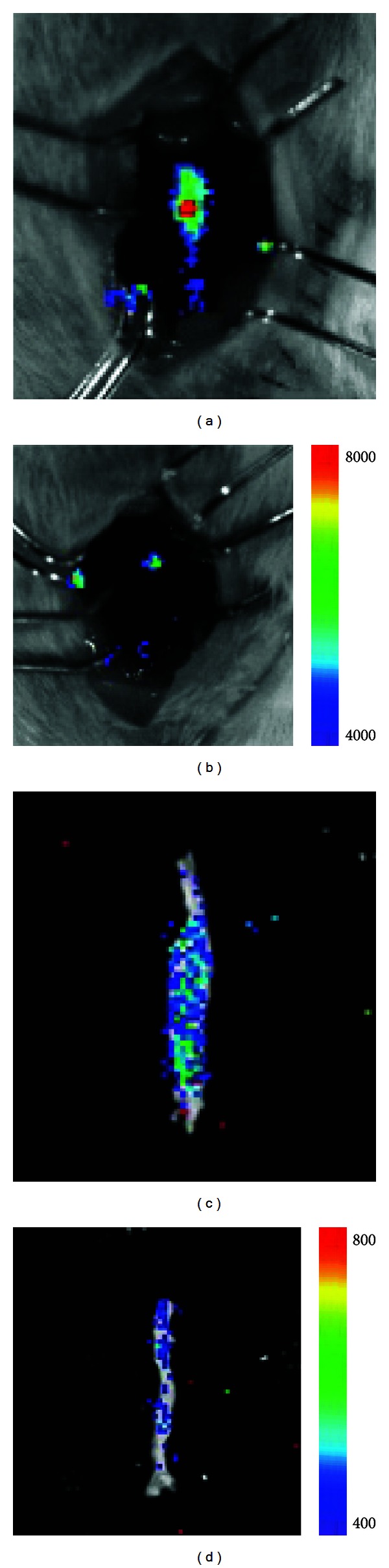 Figure 5