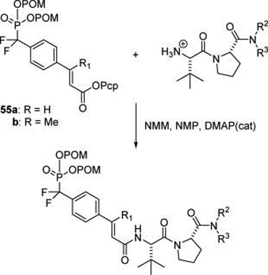 Scheme 5