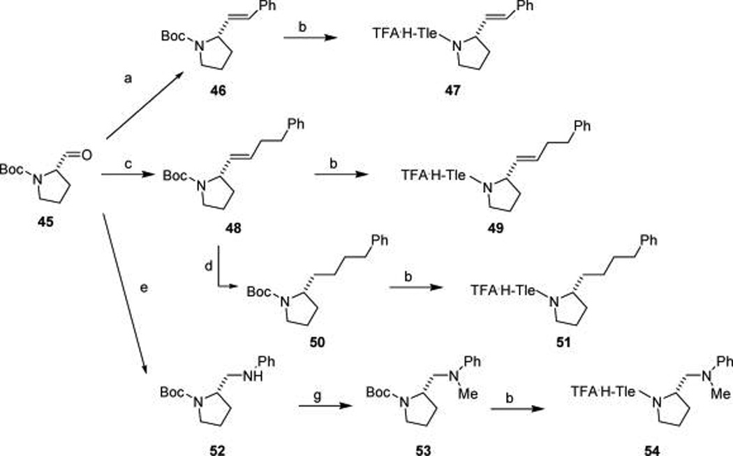 Scheme 4