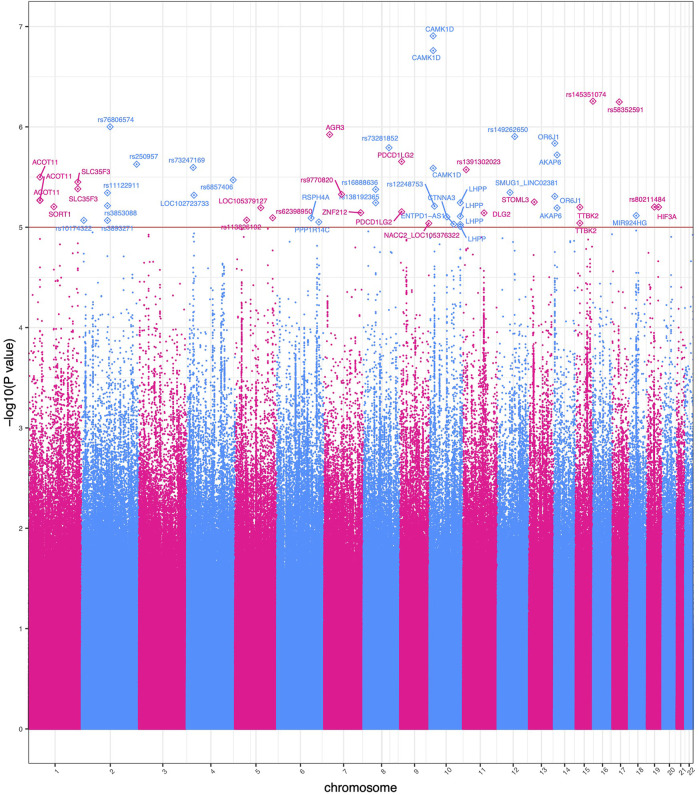 FIGURE 2