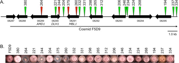 Fig 3