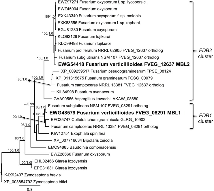 Fig 8