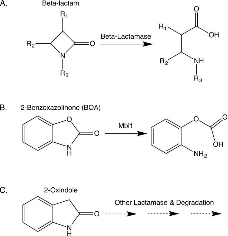 Fig 10