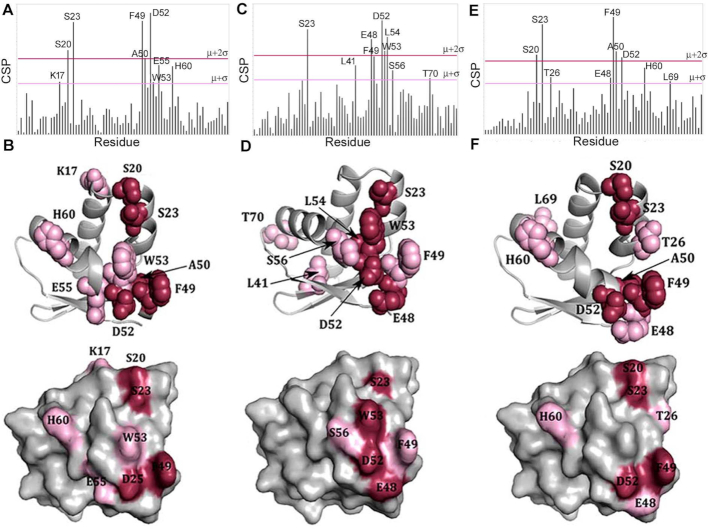 Figure 2.