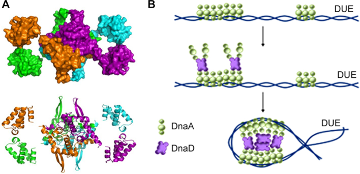 Figure 7.