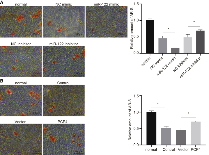 Figure 6