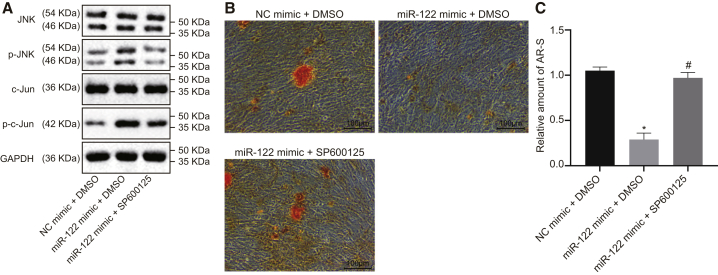 Figure 11