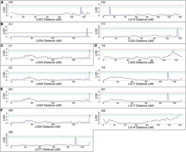 FIGURE 3