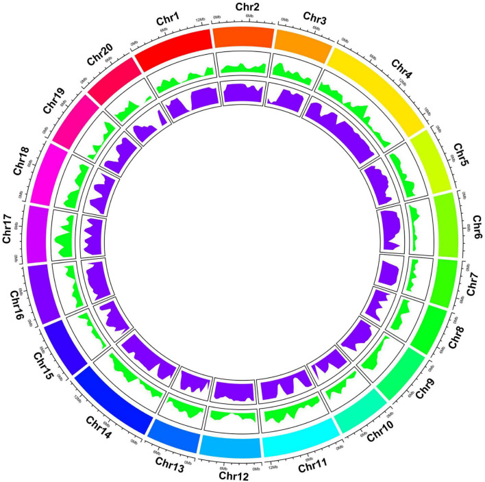 FIGURE 2