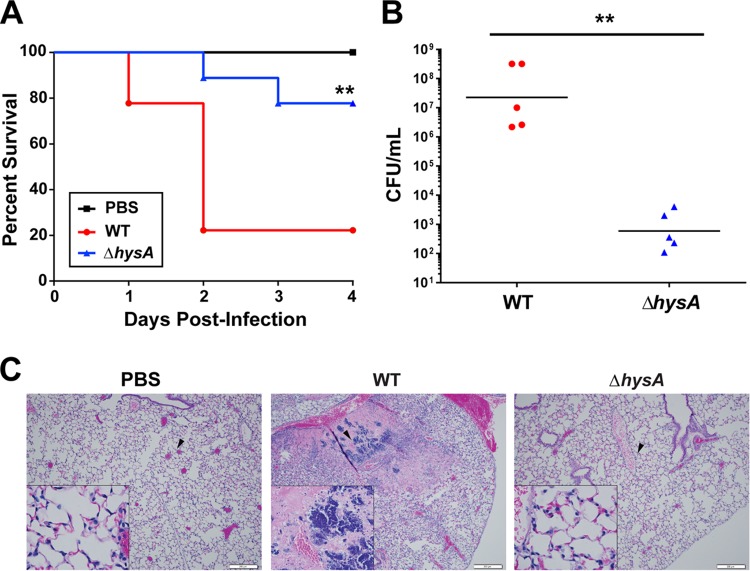 FIG 6