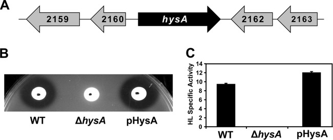 FIG 1