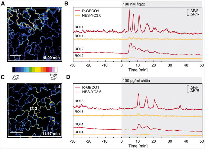 Figure 4