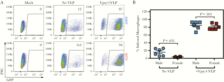 Figure 5.