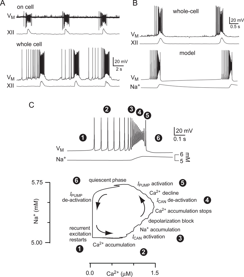 Figure 16