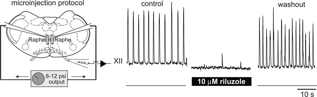 Figure 8