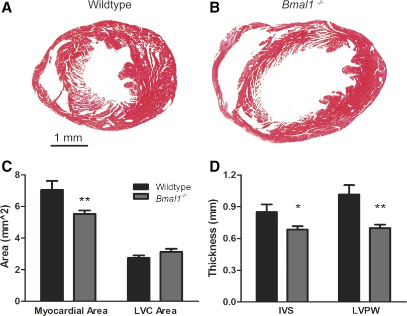 Fig. 3.