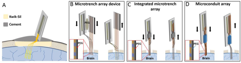 Figure 1: