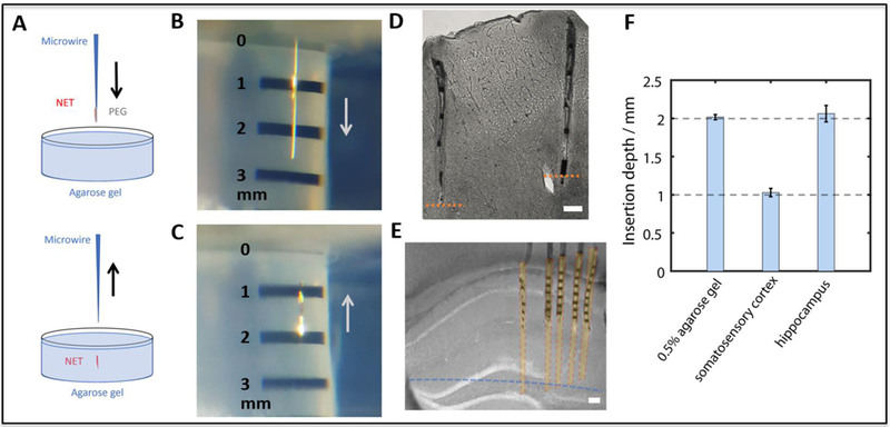 Figure 7: