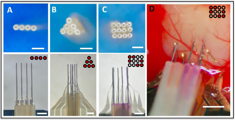 Figure 4: