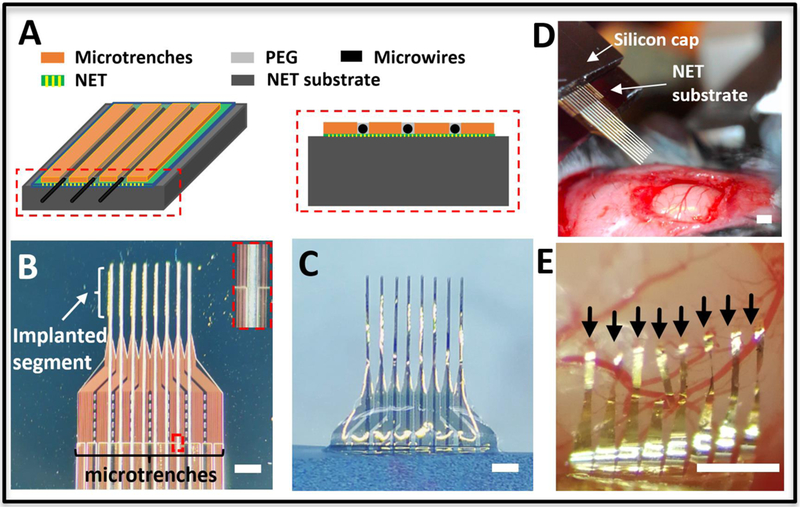 Figure 3: