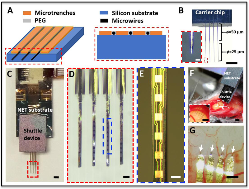 Figure 2: