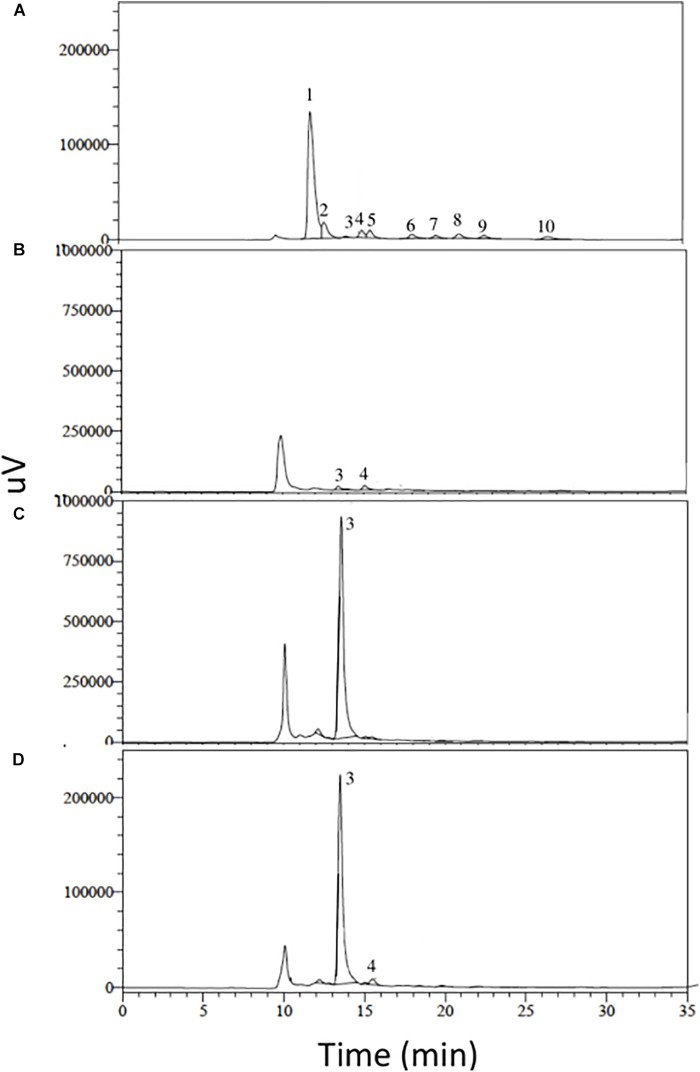 FIGURE 3